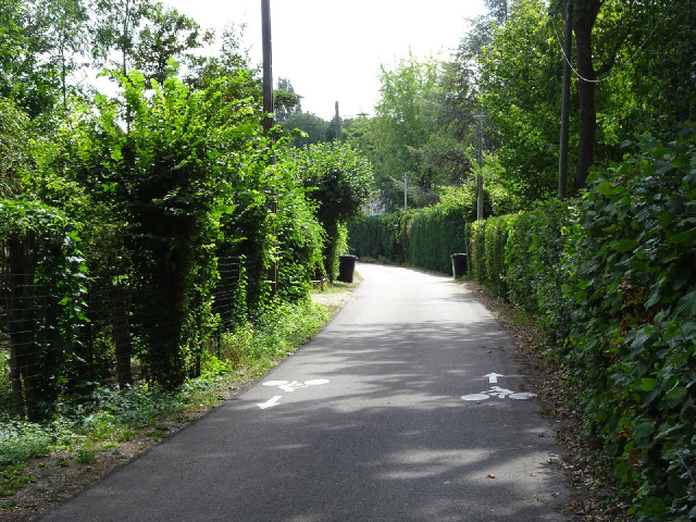 This quiet road goes straight to...