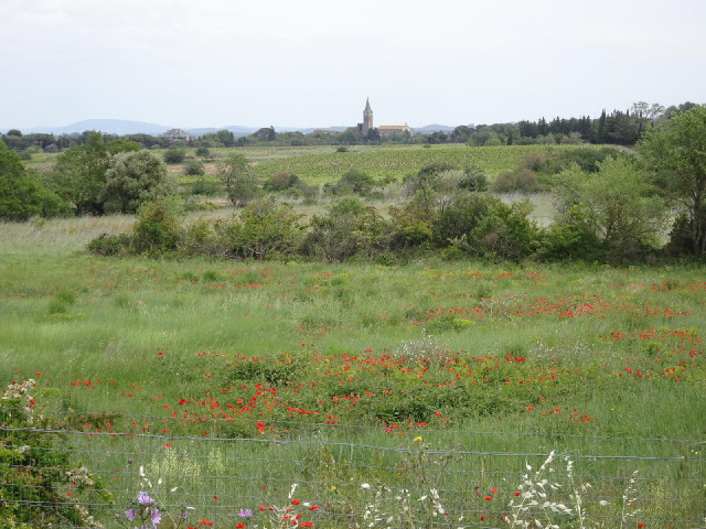 Another view from the same place.