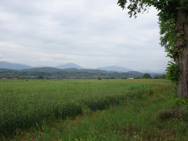 One of my first views of the Pyrenees.