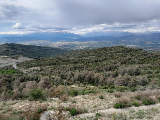 The view.