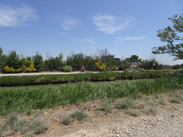 There's another path along the other bank but it looks similar to this one.