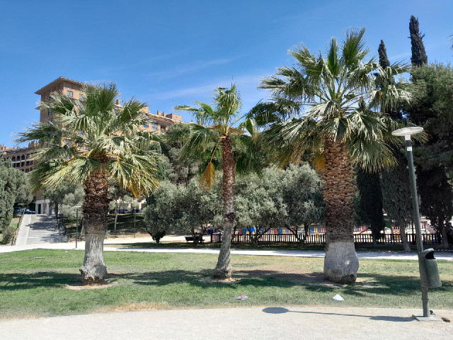 The reason why I have come to this park...