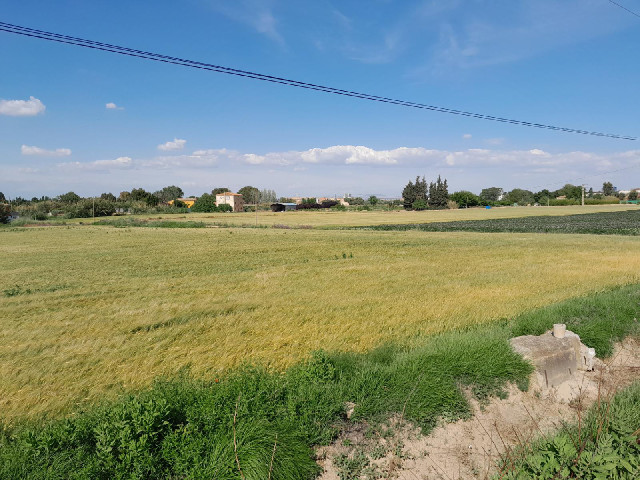 A view from a proper paved road when I fould one.