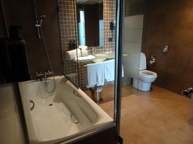 Back at the hotel, where I just want to show you how big the bathroom is. I took this picture from i...