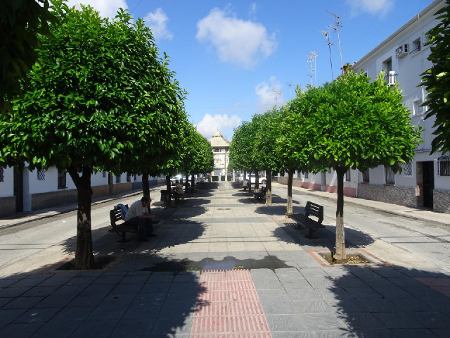 The first of my three roads in And&uacute;jar.