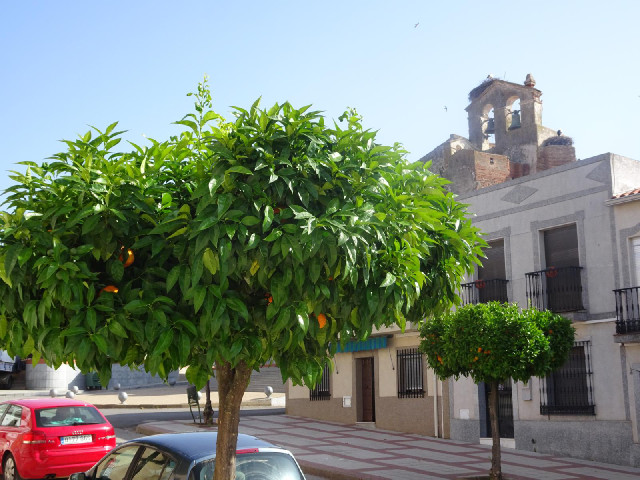 This is a town called La Albuera.