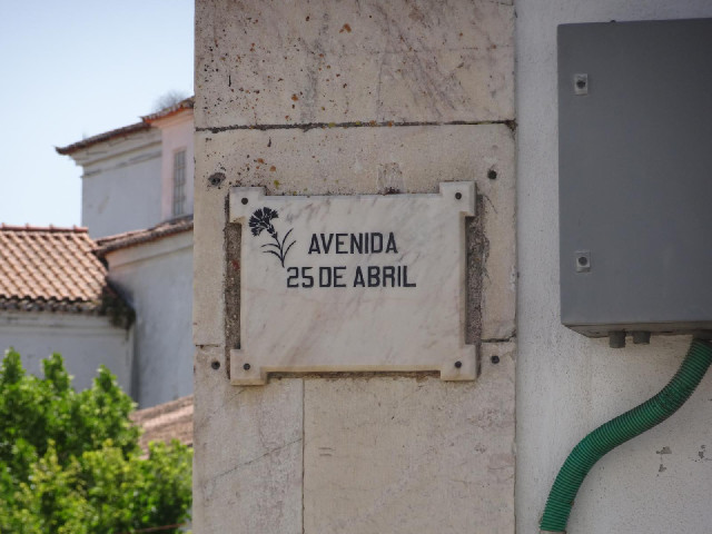 This isn't my intended 25th of April road but I'm photographing it anyway because it's got a flower ...