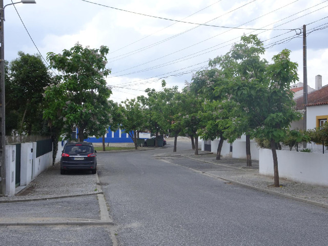 9th of January road in a village called Nossa Senhora da Graça do Divor.