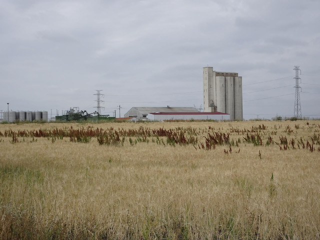 The land is definitely arable now.