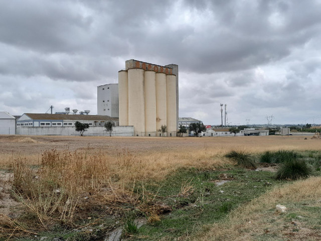 Another grain elevator.