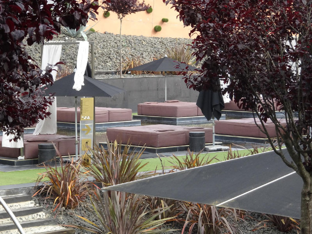 My view of the so-called pool, which looks more like a water feature between some beds.