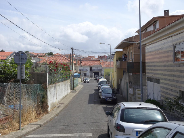 One more view of 1st of January Road.