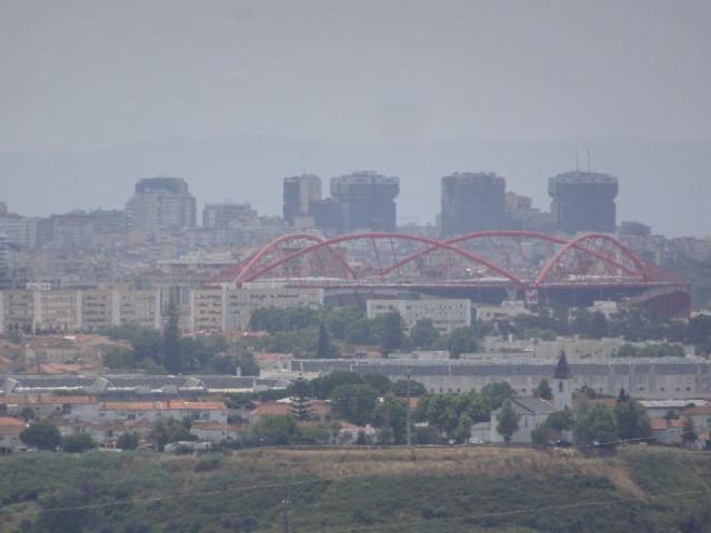 Even though my window didn't open last night, I could still hear a trememdous cacophony of car horns...