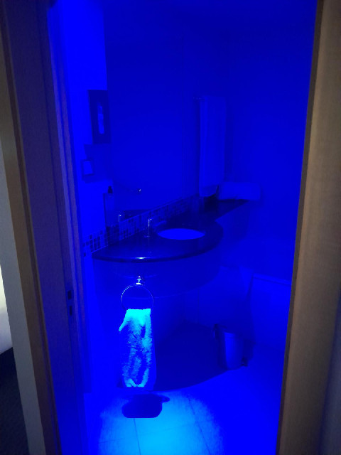 The room is very similar to last night's but with a little bit more space. Both rooms had a dim ligh...