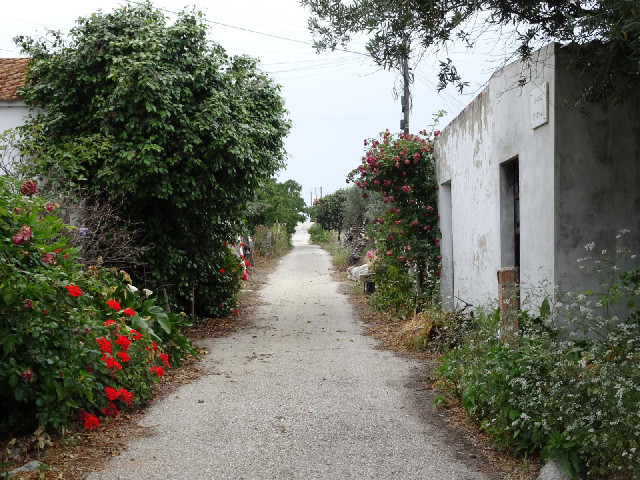 Why trying to find 23rd of May Road, I've happened across this: the adjacent 23rd of May Passage. Th...