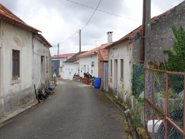 1st of December Road.