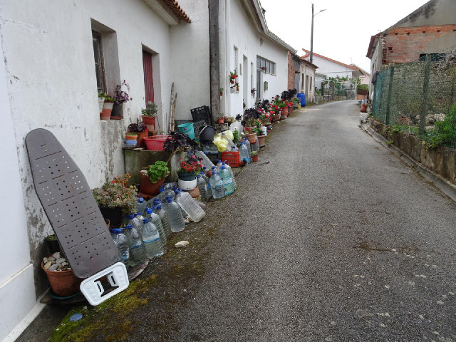 The flowers are quite pretty but what are all the bottles of water for?