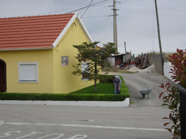 A man trimming his hedge.