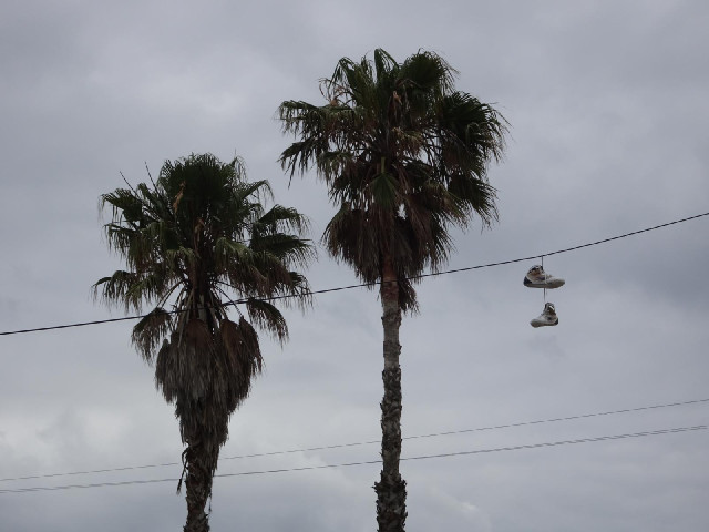 12th of July Avenue.