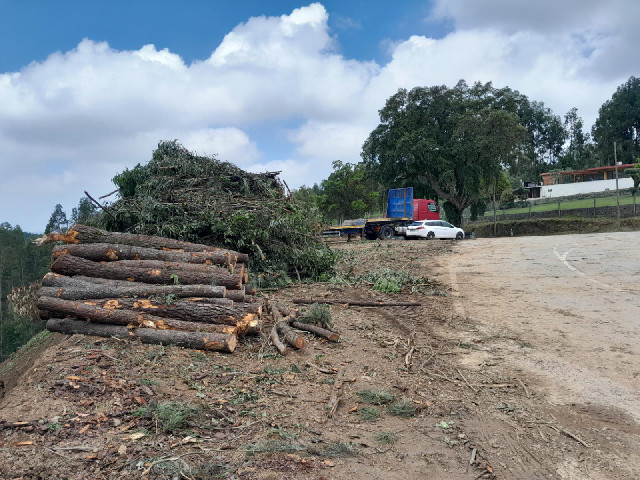 Having followed a slow tractor up into the hills, I will now park here next to these logs.