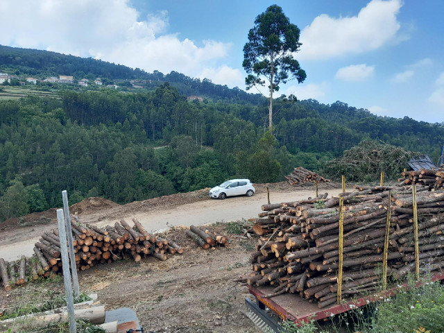 I am now the pedestrian.