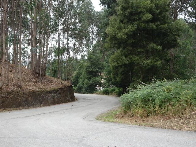 13th of May Road, which is right next to the flats which were in the previous picture.