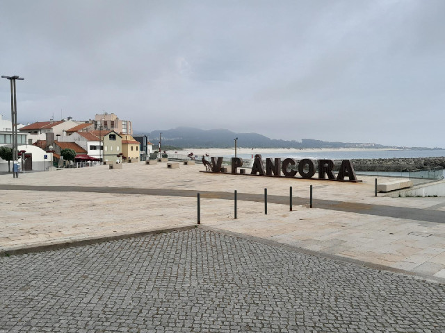 The beach is in the background.