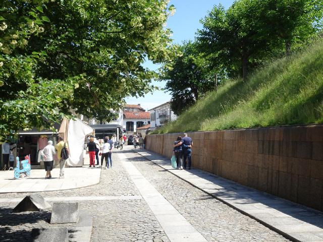 The brown wall is a waterfall. There is a thin layer of water constantly flowing down it and into a ...