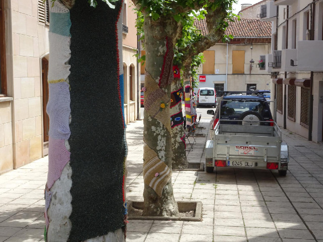 Yarnbombed trees.
