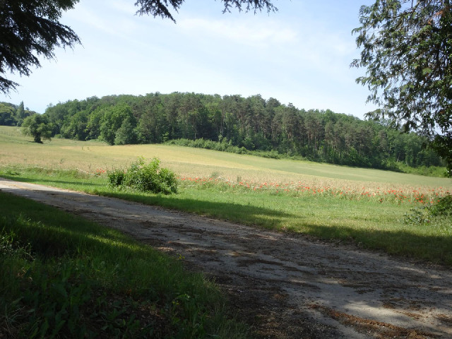 Hilly scenery.