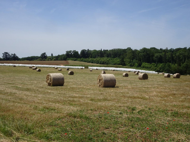Bales of hay.