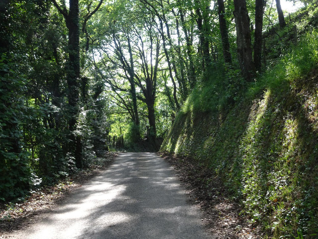 4th of January 1944 Road.