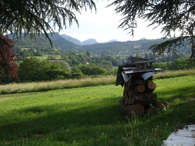A pile of firewood in a garden.