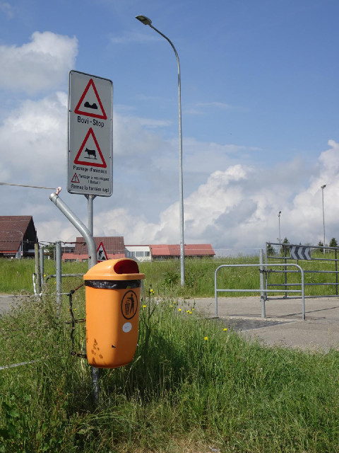Apparently the French for "cattle grid" is "bovi-stop", which seems more sensibl...