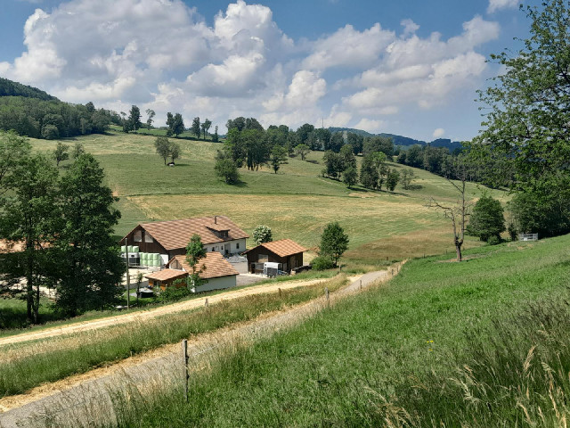 Some final Swiss scenery.