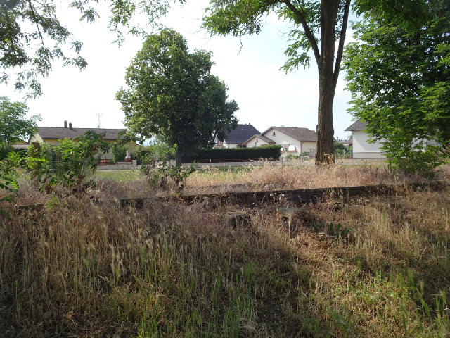 I took a wrong turn and while stopping to turn round realised that I had stopped next to a disused r...