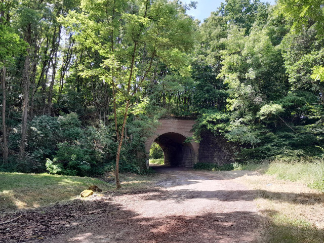 An old bridge which I saw from a lay-by. I don't think the road is used any more. It looks like an o...