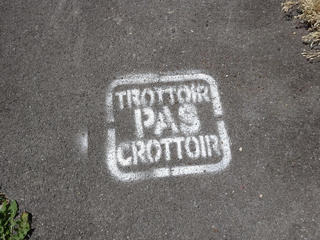 I had to look up what this meant. It means that the pavement is not a place for dogs' mess.