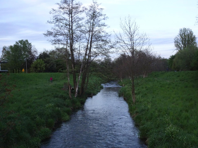I rode along the bank of this stream for a while.