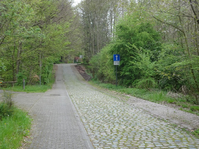 ... and briefly through the woods.