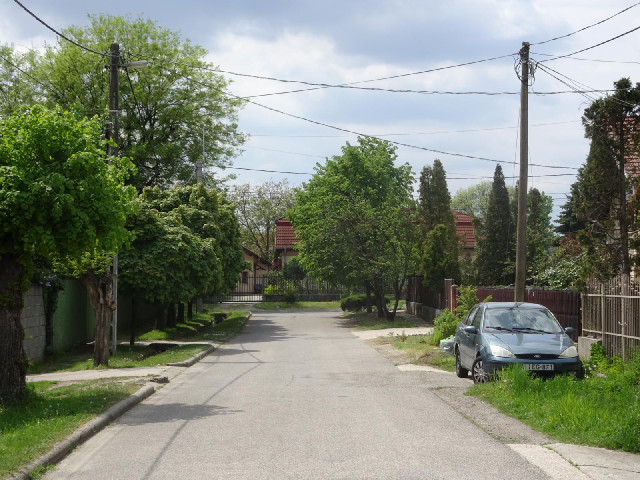 15th March Street in Gödöllő. It's been very nearly a week since I started and I've...