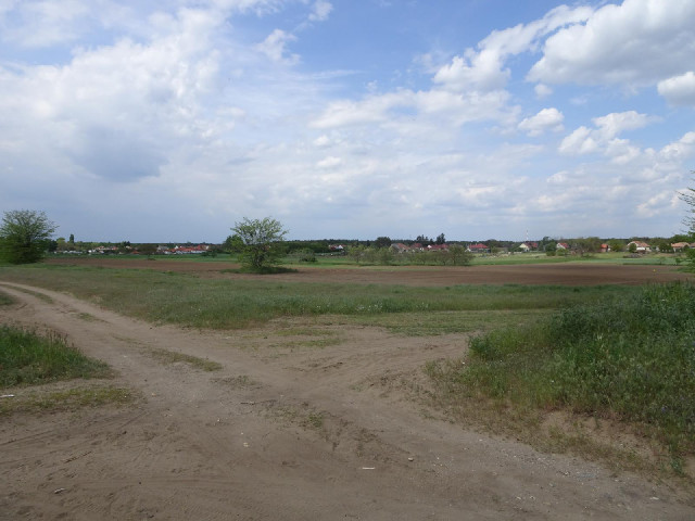 After yesterday's mountains, the scenery has gone back to being flat.