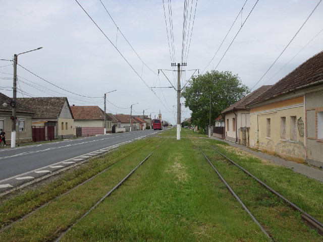 A village called Vladimirescu.