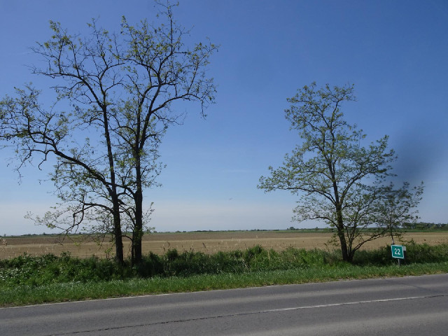 I'm back in Hungary. The search at the border was the most thorough I have ever been subjected to, b...