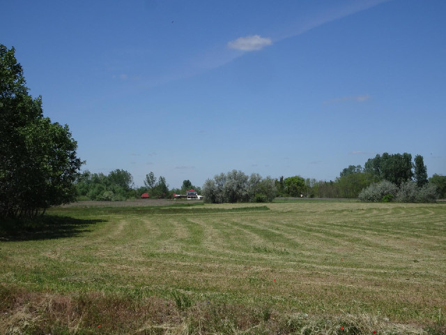 Just some more scenery.