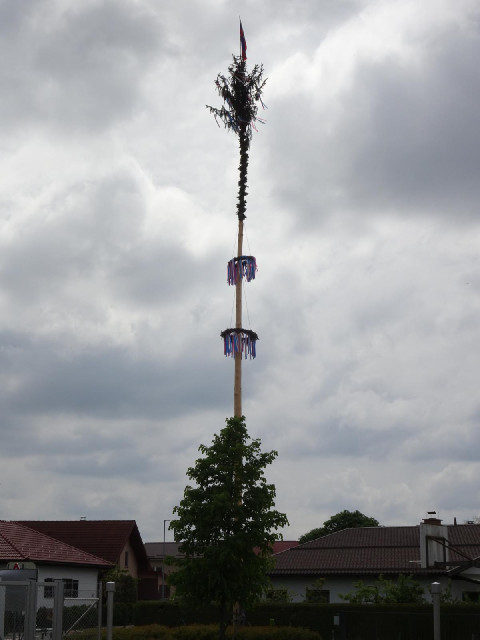 Decorated trees like this are common in some parts of Europe.