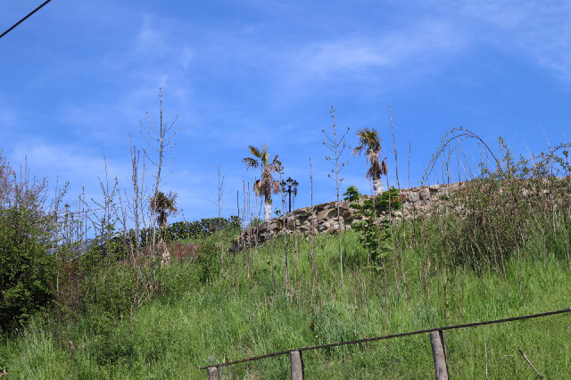 Okay, I know it's warm but having palm trees is a bit excessive.