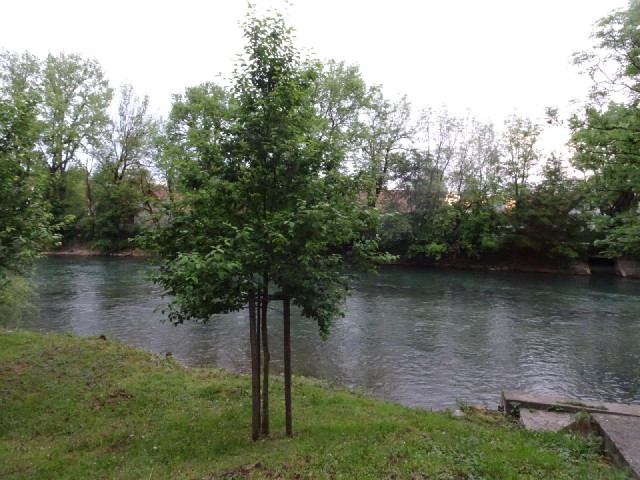 The Ljubljanica River.