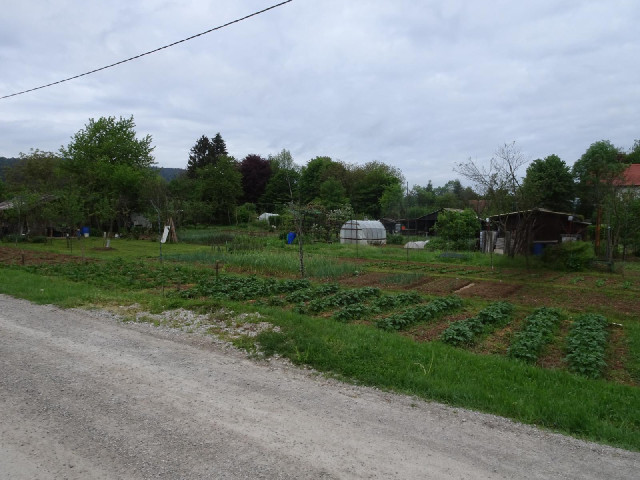 What would you expect to see across the road from allotments like these?