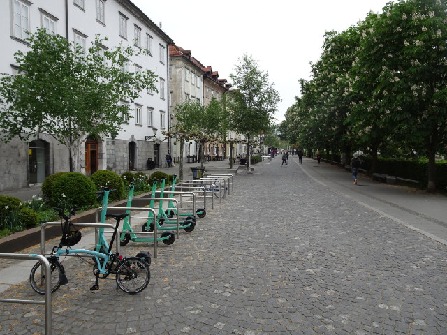 My bike is trying to blend in.